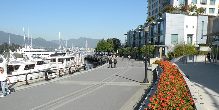 Coal Harbour Activities